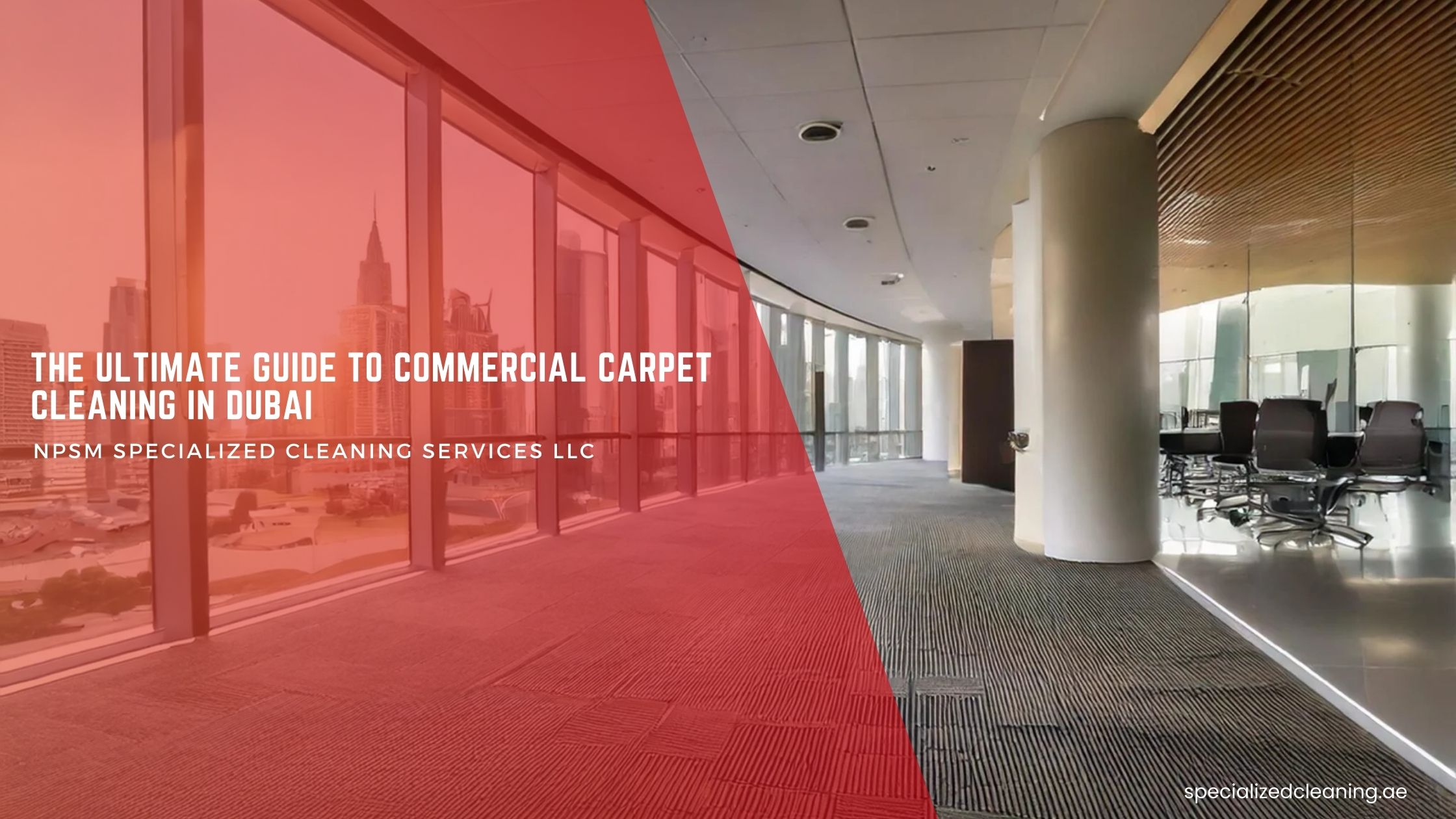 Commercial Carpet Shampoo Guide | Tips and Tricks
